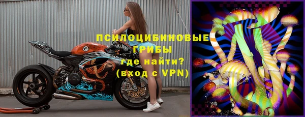 Альфа ПВП Аркадак