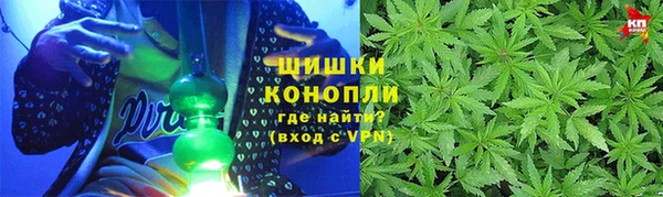 Альфа ПВП Аркадак